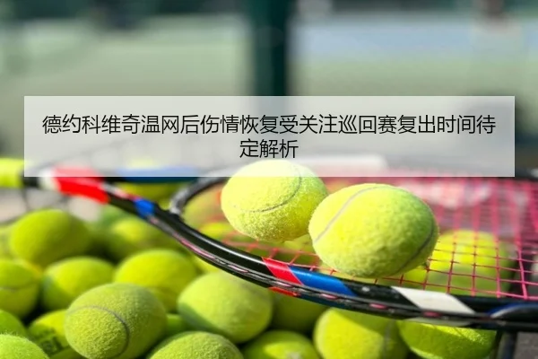 德约科维奇温网后伤情恢复受关注巡回赛复出时间待定解析