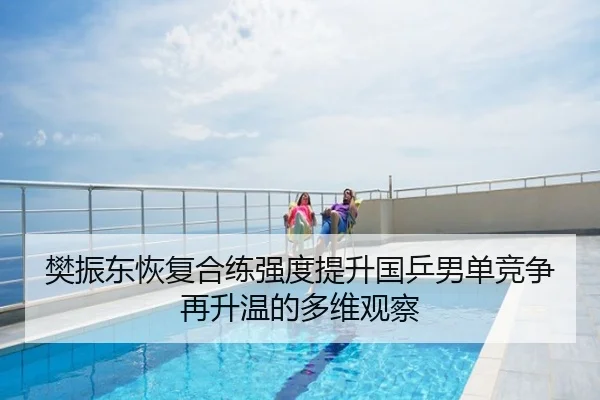 樊振东恢复合练强度提升国乒男单竞争再升温的多维观察